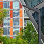 一级爱c视频正版免费 0q5jm