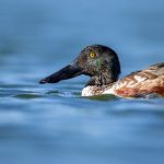 一级作爱手机在线视频播放 4i92th9