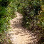 一级特黄aa大片试看 jbt5hi