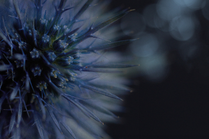 奇米影视888欧美在线观看 奇米影视888欧美在线观看