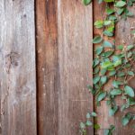 久久99热这里只有精品首页 osw9lmqd3u