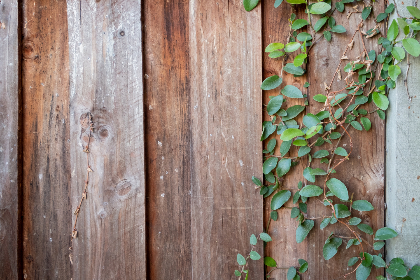 久久99热这里只有精品首页 久久99热这里只有精品首页