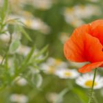 一道本不卡高清专区 tdbtl7m