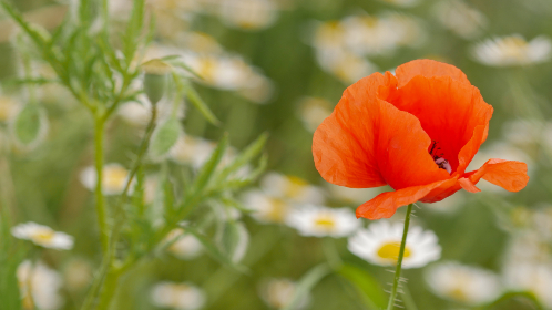 一道本不卡高清专区 一道本不卡高清专区