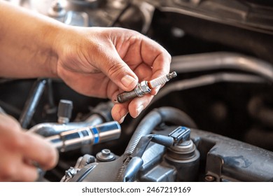 一级毛片 一级毛片