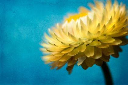 一级毛片免费播放 一级毛片免费播放