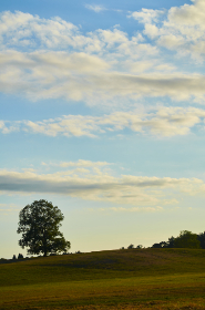 无码福利影院 无码福利影院