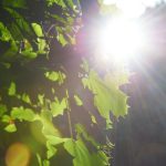 一级黄色片 znucefvk2