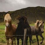 专门看日剧的app叫什么:推荐几款热门日剧观看应用分享 4z9yq6ceo8